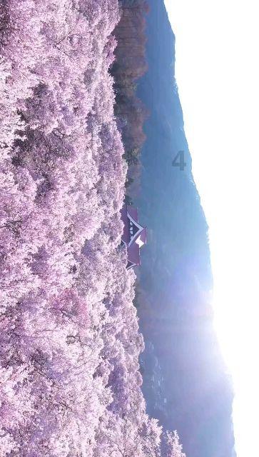召唤神龙万宁版祖龙